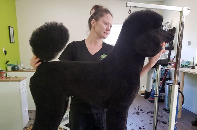 Christine Santon - Owner/Operator The Spaw Grooming Salon