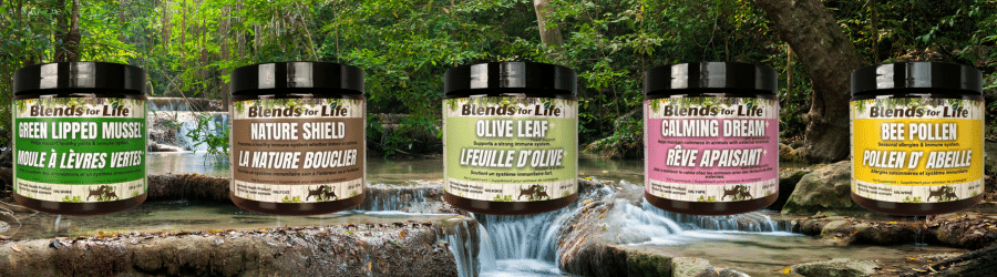 Blends For Life Val Talks Pets Banner