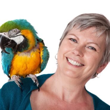 Val Talks Pets Top Banner for Parrot Partners