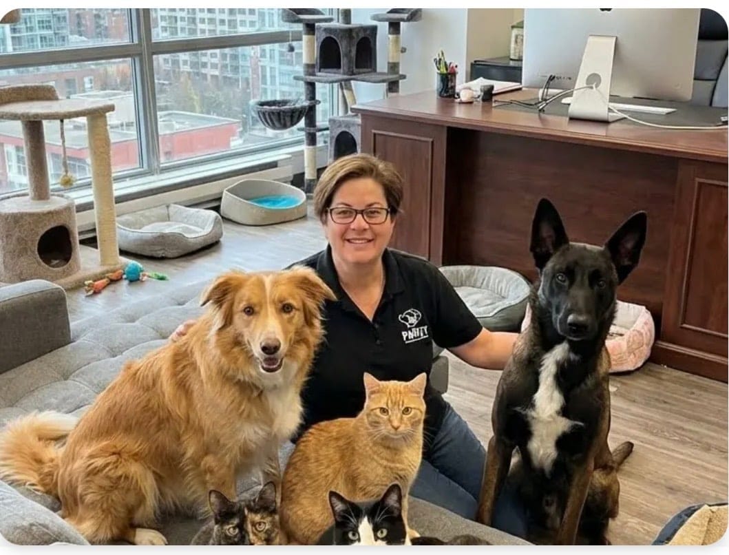 The Pawzy App – A Go To For Pet Parents
